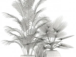 Plants collection 122 3D Model