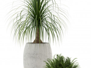 Plants collection 122 Model 3D