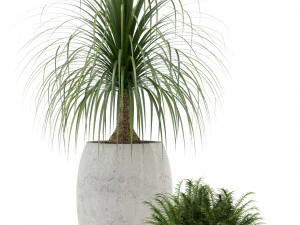 Plants collection 122 3D Model
