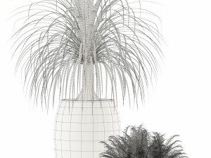 Plants collection 122 Model 3D