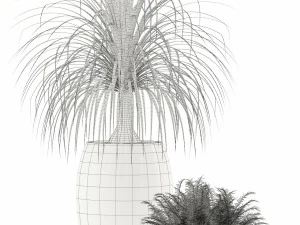 Plants collection 122 3D Model