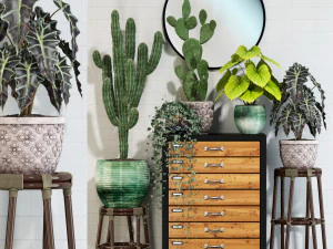 Kolekcja roślin 123 Model 3D