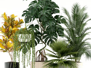 Cole&ccedil;&atilde;o de plantas 124 Modelo 3D
