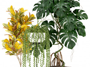 Plants collection 124 3D Model