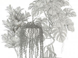 Plants collection 124 3D Model