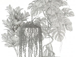 Plants collection 124 3D Model