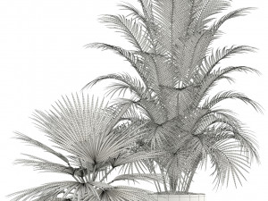 Plants collection 124 3D Model