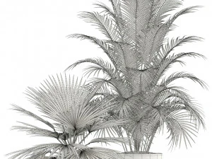 Plants collection 124 3D Model