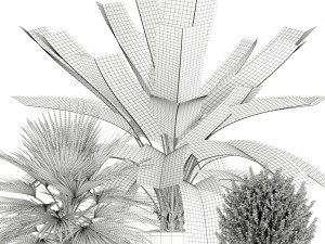 Plants collection 125 Model 3D