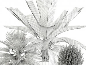 Plants collection 125 3D Model