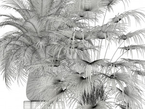 Plants collection 125 Model 3D