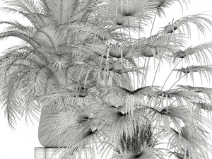 Plants collection 125 3D Model