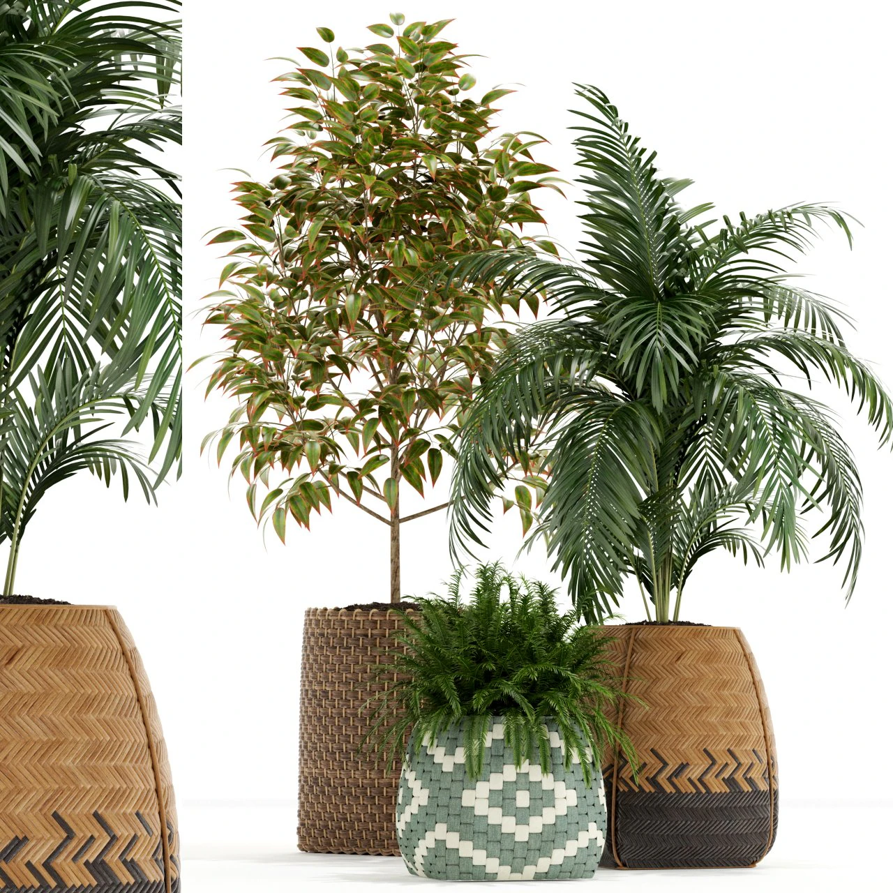 Plants collection 126 3D Model .c4d .max .obj .3ds .fbx .stl .blend 