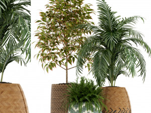 Plants collection 126 3D Модель