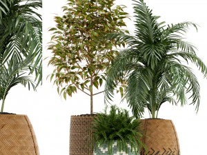 植物コレクション 126 3Dモデル