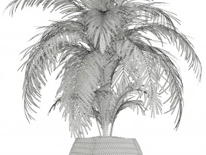 Plants collection 126 3D Model