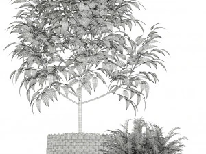 Plants collection 126 3D Model
