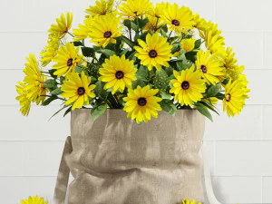 Koleksi tanaman 127 Model 3D