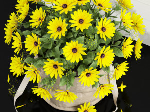 Plants collection 127 3D 模型