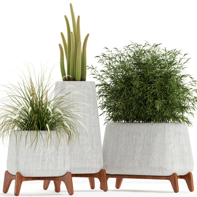Plants collection 128 indigenus terra Modello 3D .c4d .max .obj .3ds .fbx .stl .blend