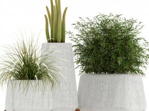 Koleksi tumbuhan 128 indigenus terra Model 3D