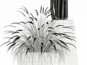 Plants collection 128 indigenus terra Modello 3D