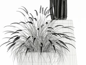 Plants collection 128 indigenus terra 3D Model
