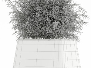 Plants collection 128 indigenus terra Modello 3D