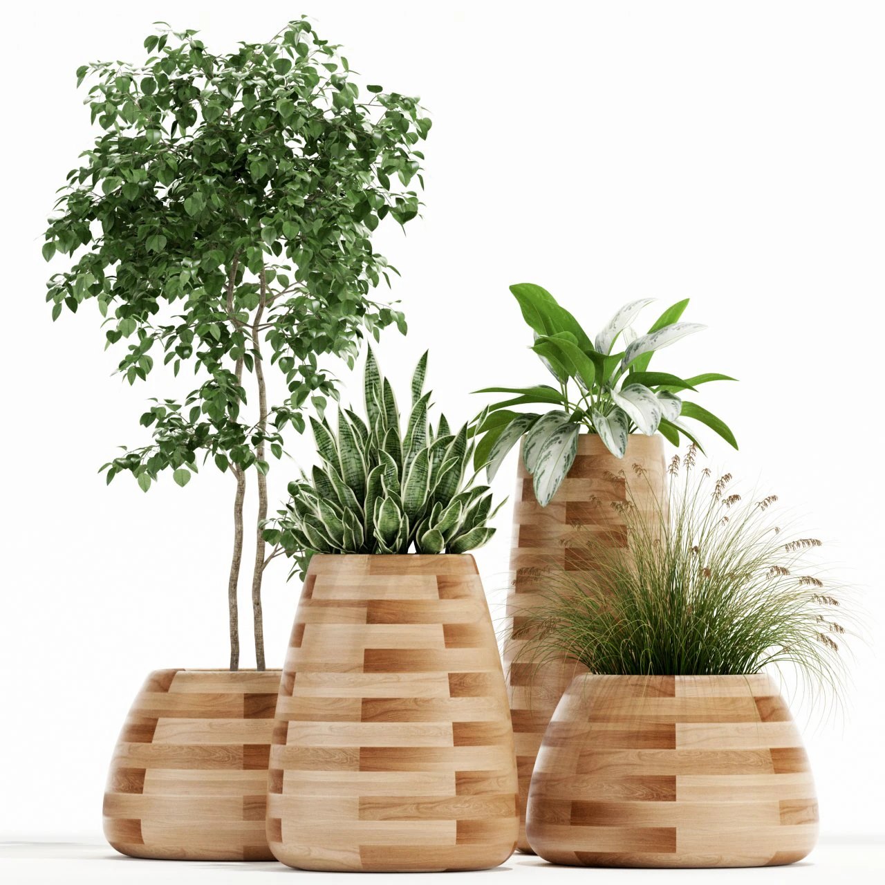 Plants collection 129 indigenus tuber 3D Model .c4d .max .obj .3ds .fbx .stl .blend