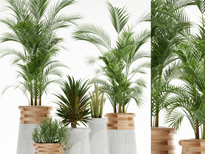 Plants collection 130 indigenus 3D-Modell