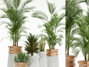 Koleksi tumbuhan 130 indigenus Model 3D