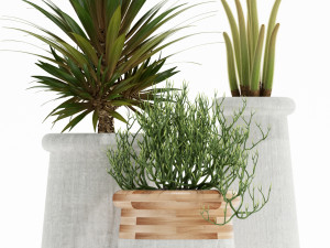 Plants collection 130 indigenus 3D Model