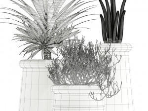 Plants collection 130 indigenus 3D Model