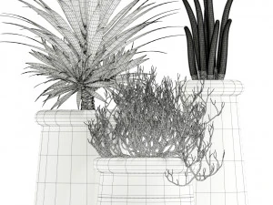 Plants collection 130 indigenus 3D Model