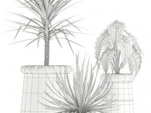 Plants collection 131 indigenus 3D Model