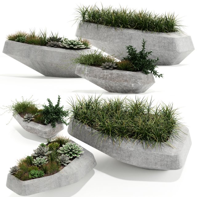 Plants collection 132 indigenus steen 3D मॉडल .c4d .max .obj .3ds .fbx .stl .blend 