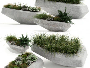 Koleksi tumbuhan 132 indigenus steen Model 3D