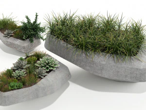 पौधों का संग्रह 132 स्वदेशी स्टीन 3D मॉडल