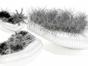 Plants collection 132 indigenus steen 3D मॉडल