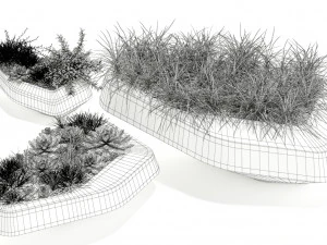 पौधों का संग्रह 132 स्वदेशी स्टीन 3D मॉडल