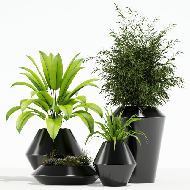 Plants collection 133 Westelm Modern Planters 3Dモデル .c4d .max .obj .3ds .fbx .stl .blend 