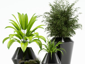 Plants collection 133 Westelm Modern Planters 3D Модель