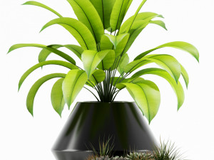 Plants collection 133 Westelm Modern Planters 3Dモデル