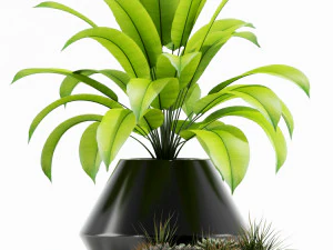 Plantencollectie 133 Westelm Moderne Plantenbakken 3D Model