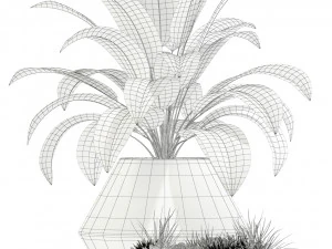 Plantencollectie 133 Westelm Moderne Plantenbakken 3D Model