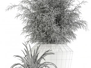 Plantencollectie 133 Westelm Moderne Plantenbakken 3D Model