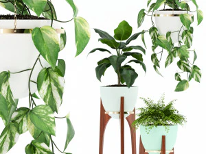 Collezione di piante 134 Fioriera Revival con stampa retr&ograve; Modello 3D