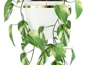 Plants collection 134 Retro Print Revival Planter 3D Model