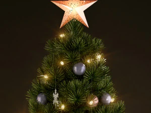 Plants collection 135 christmas tree 3D Model