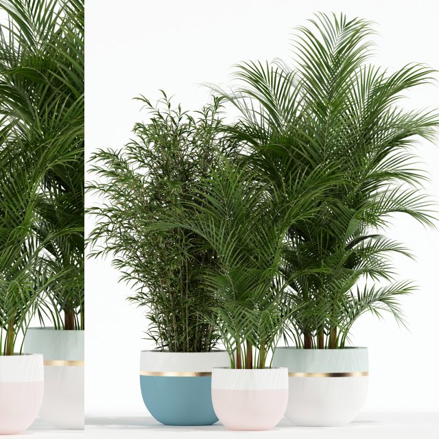 Plants collection 136 3D Model .c4d .max .obj .3ds .fbx .stl .blend 